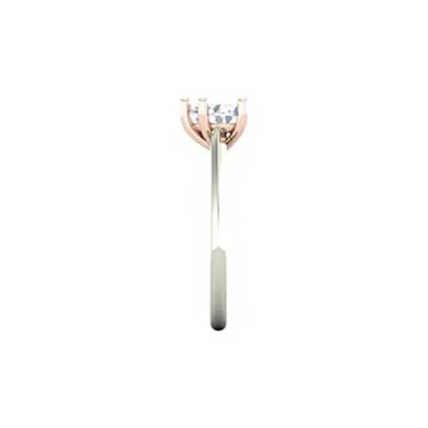 FY0066 - view 3